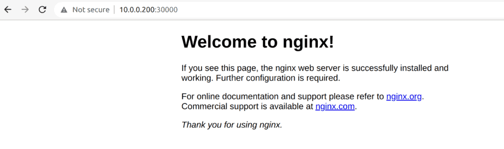 nginx showing in the browser